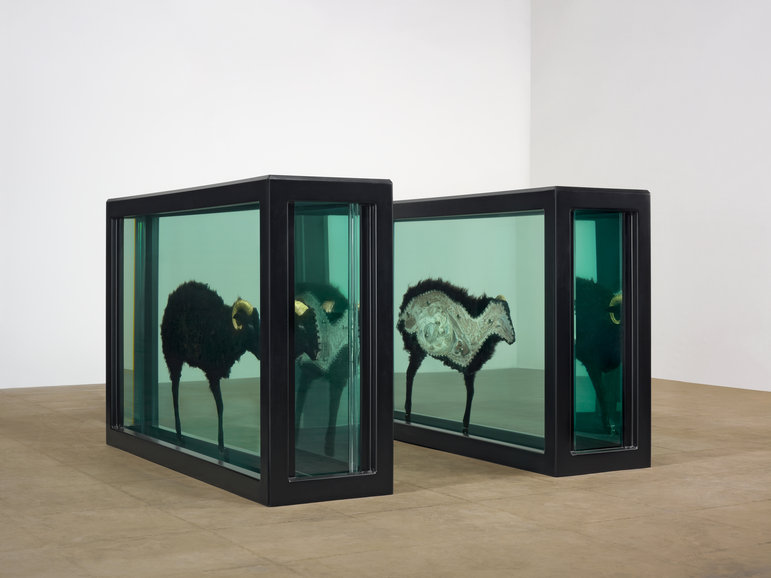 Damien HIrst: "fuori dal gregge".