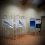 Mostra di arte contemporanea "La collettiva delle collettive" a Villa Simonetta Villa Simonetta - La Collettiva delle Collettive