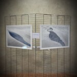 Mostra di arte contemporanea "La collettiva delle collettive" a Villa Simonetta Villa Simonetta - La Collettiva delle Collettive